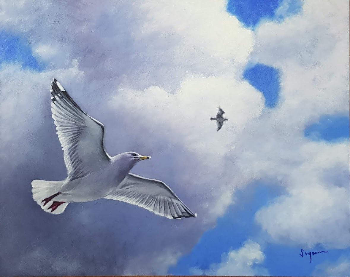 Seagull