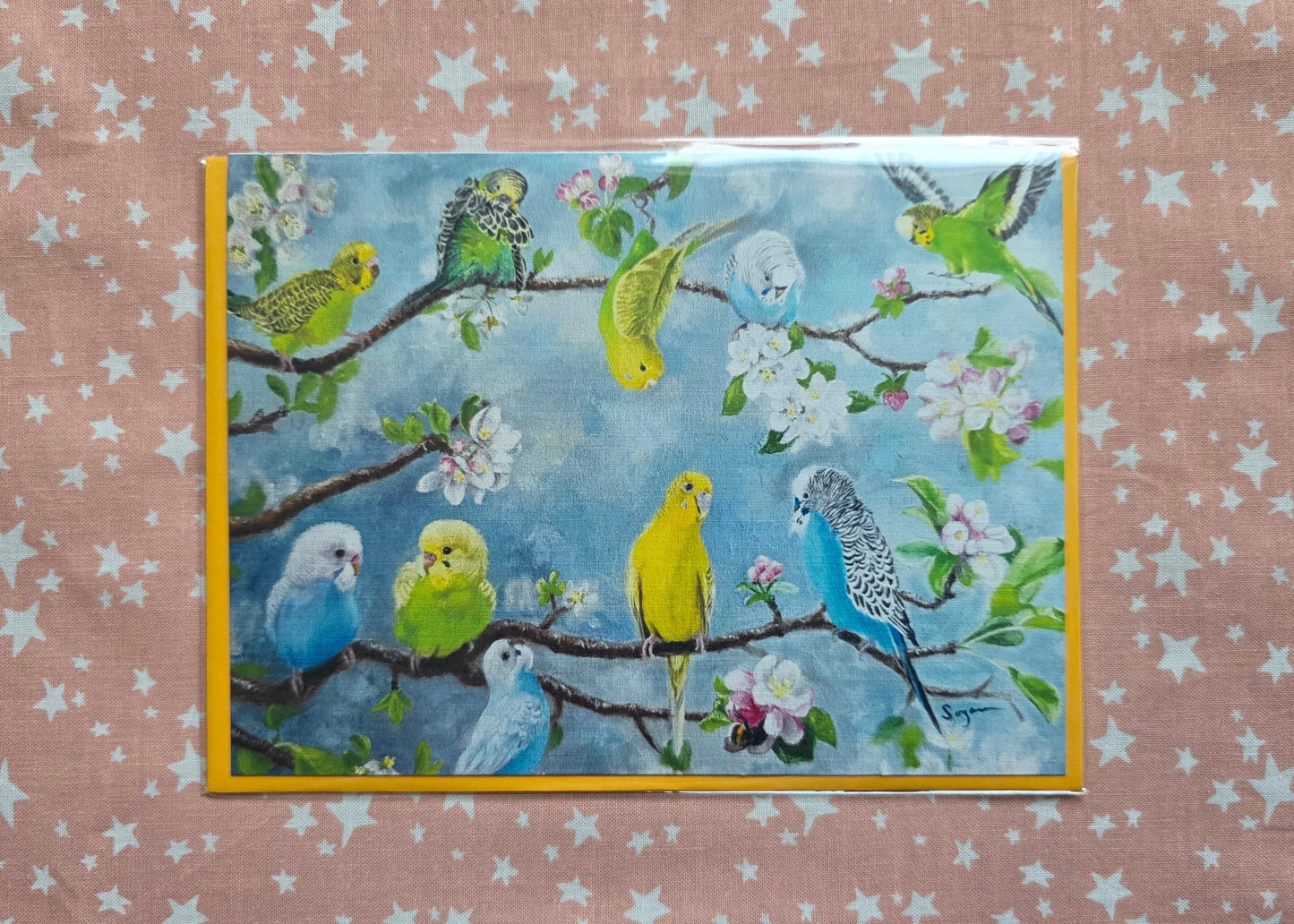 Budgie family