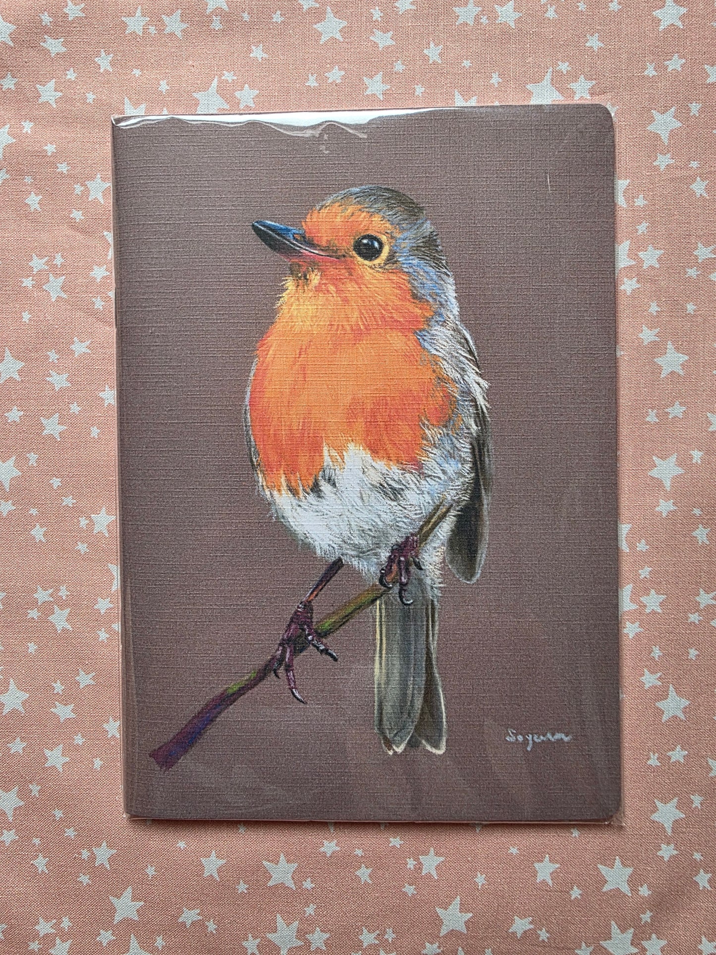 Robin Notebook