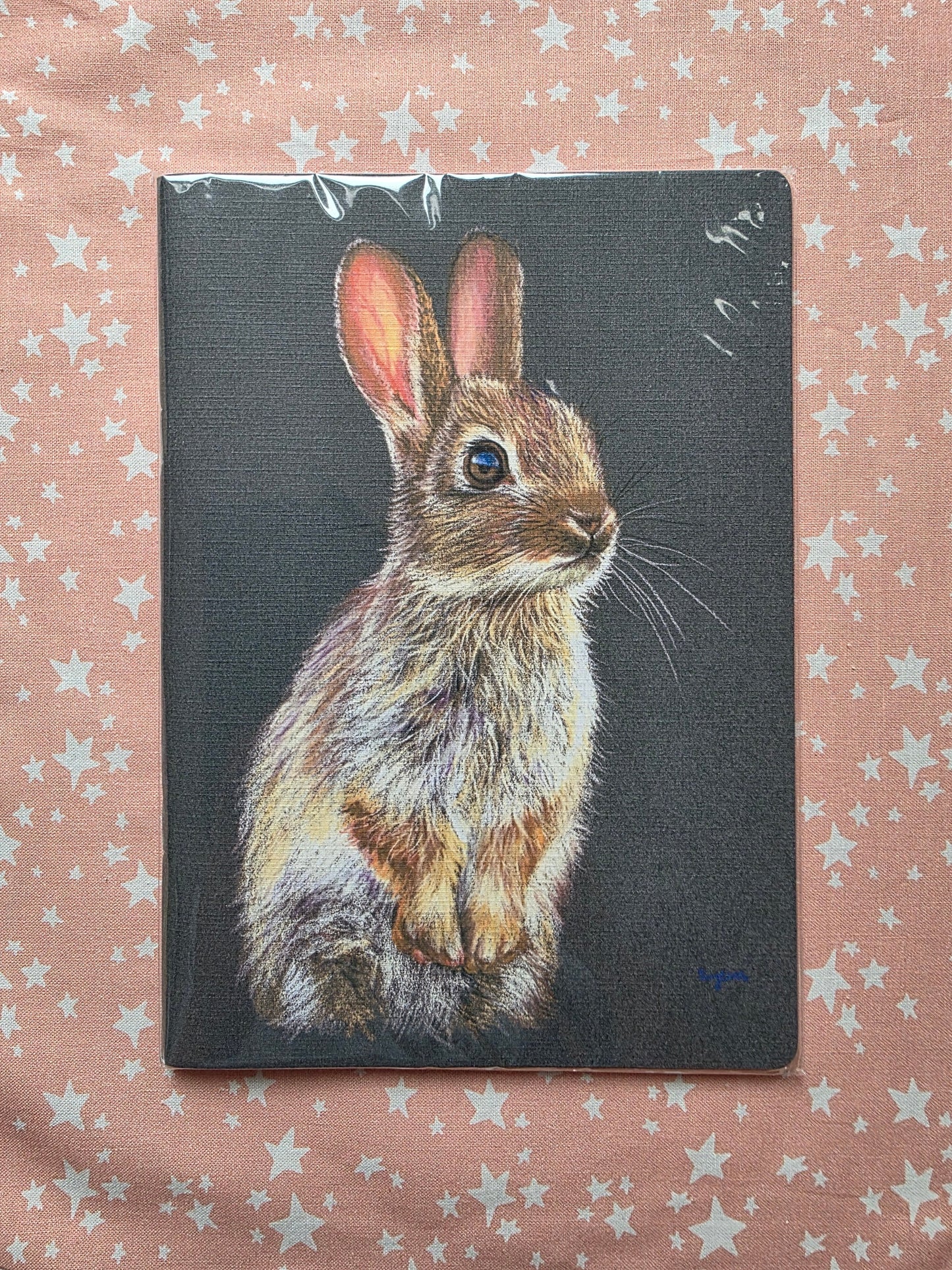 Rabbit Notebook