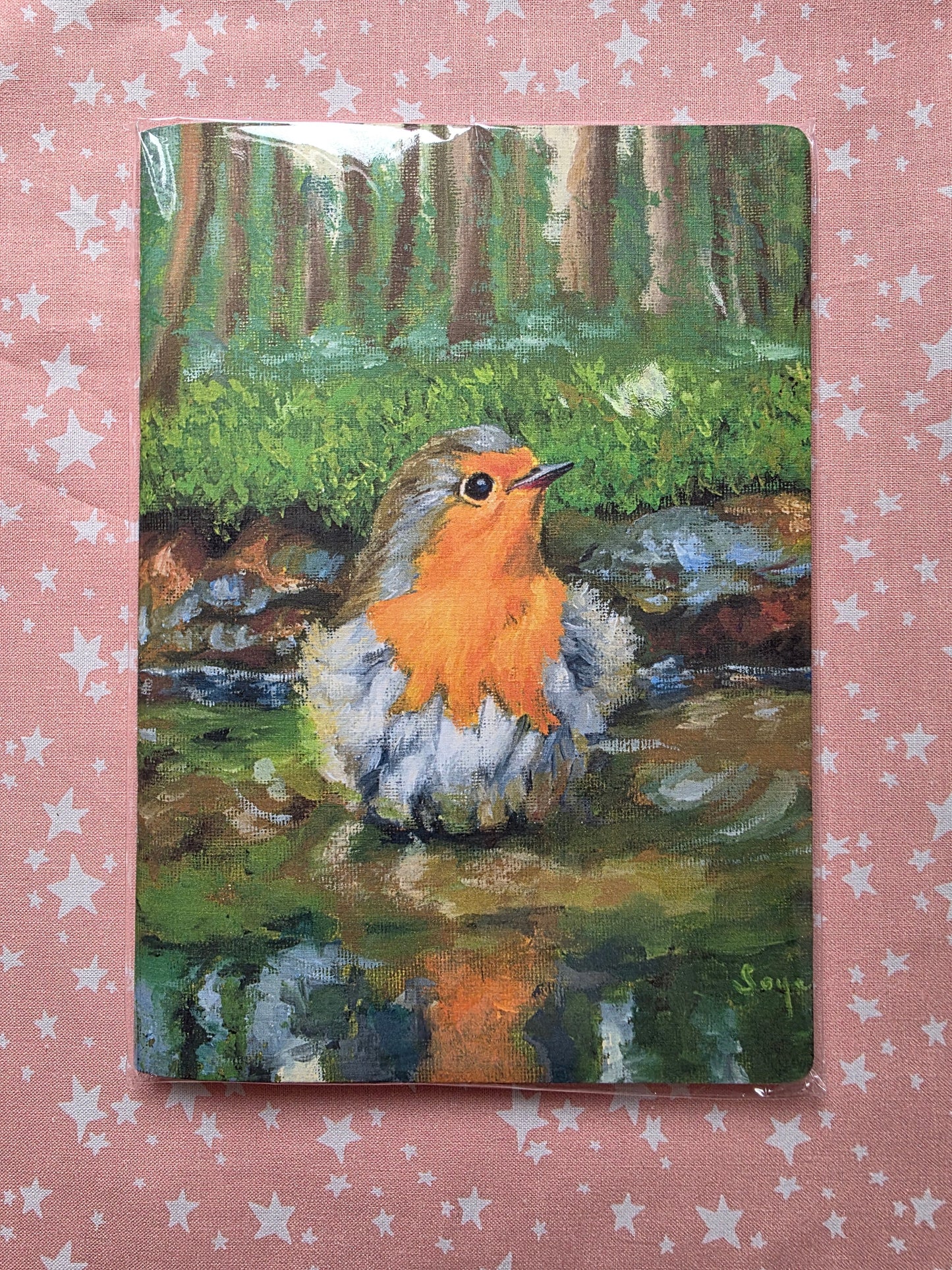 Bird bath Notebook