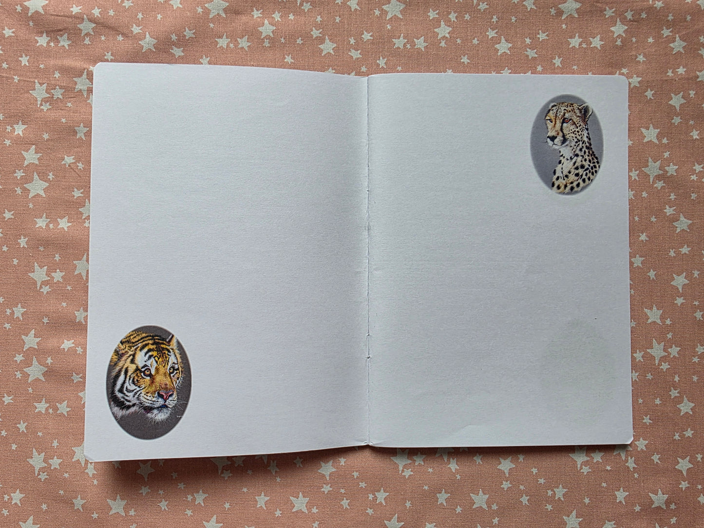 Rabbit Notebook