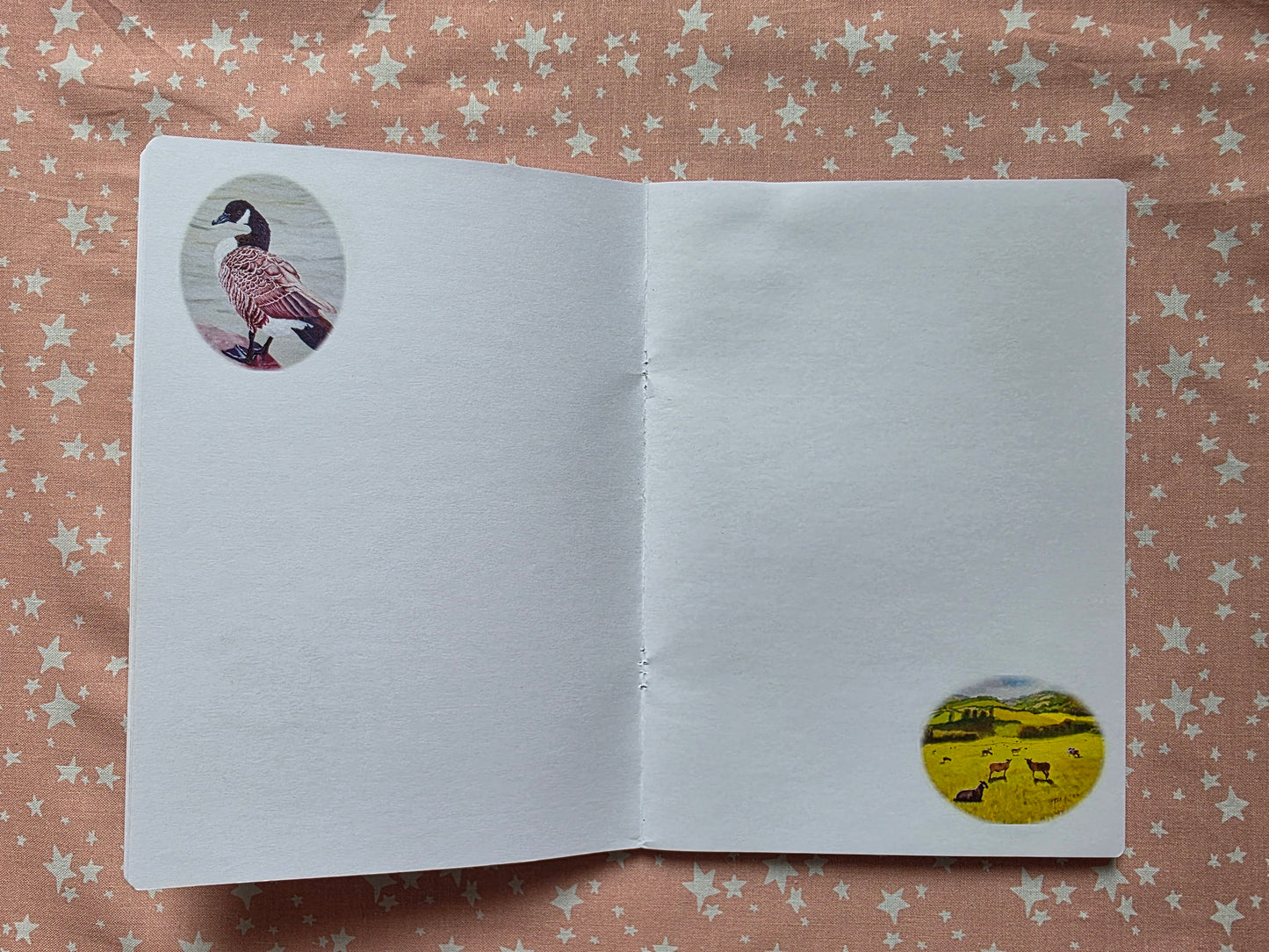 Rabbit Notebook