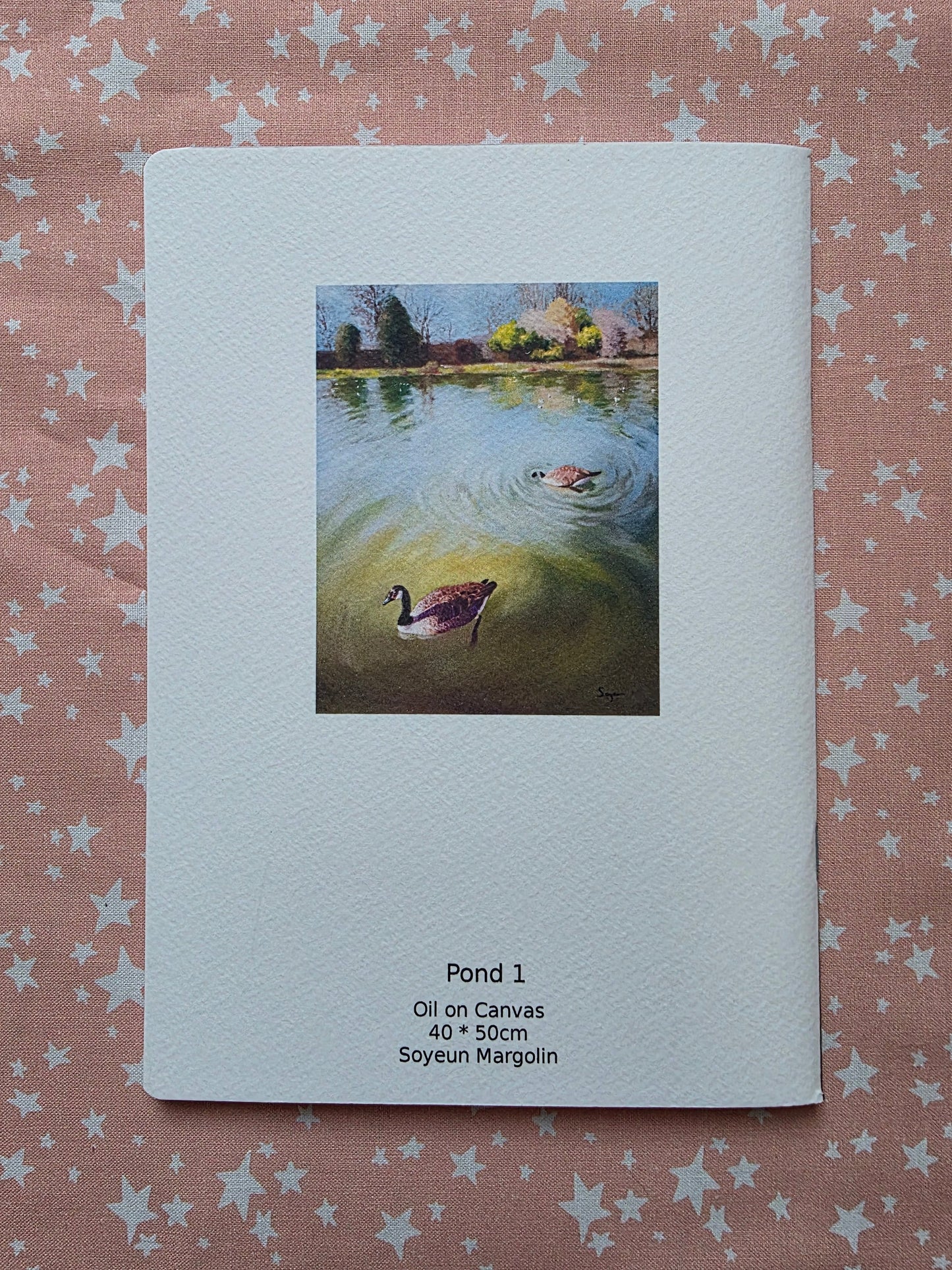 Pond 1 Notebook