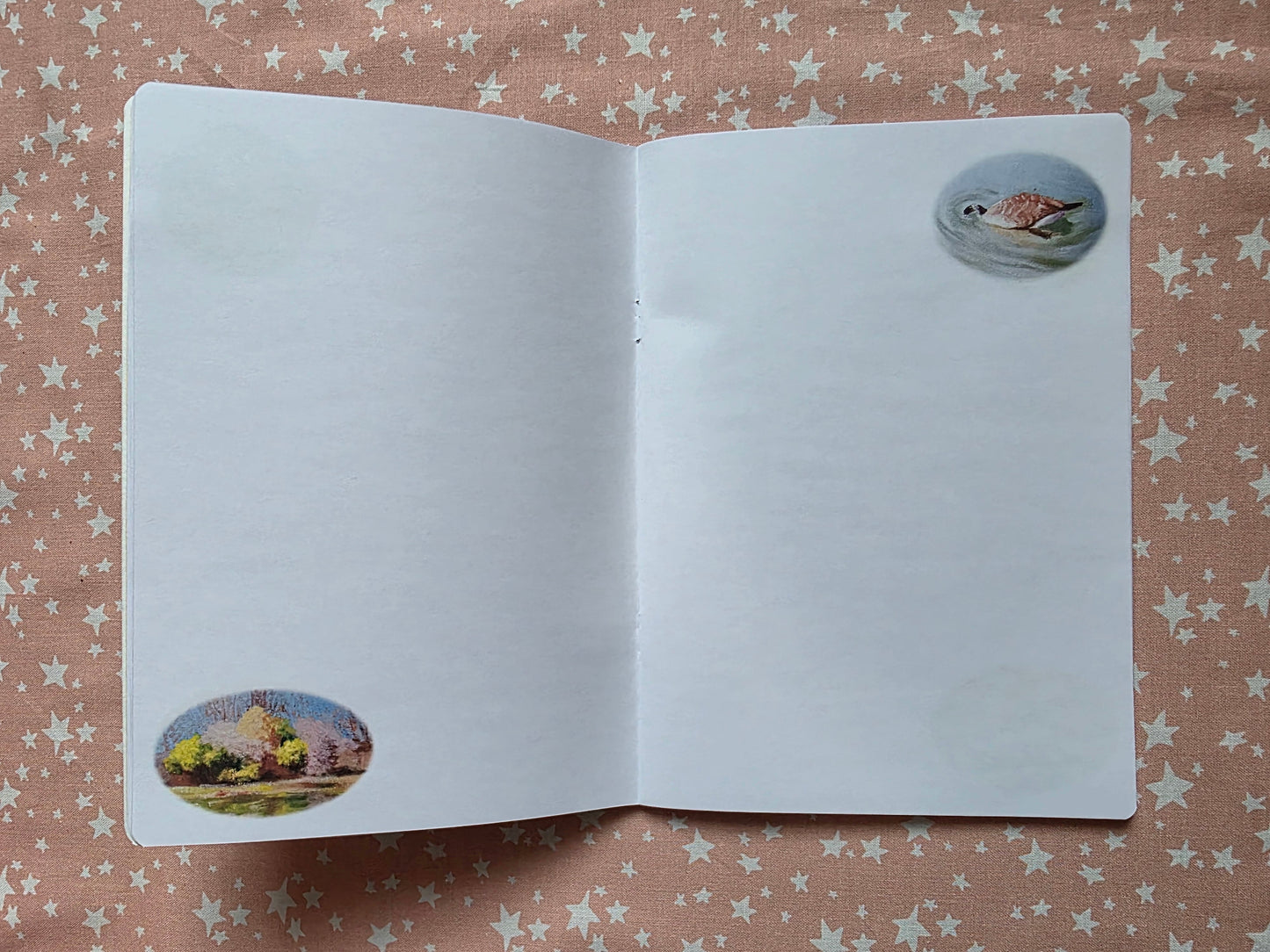 Pond 1 Notebook