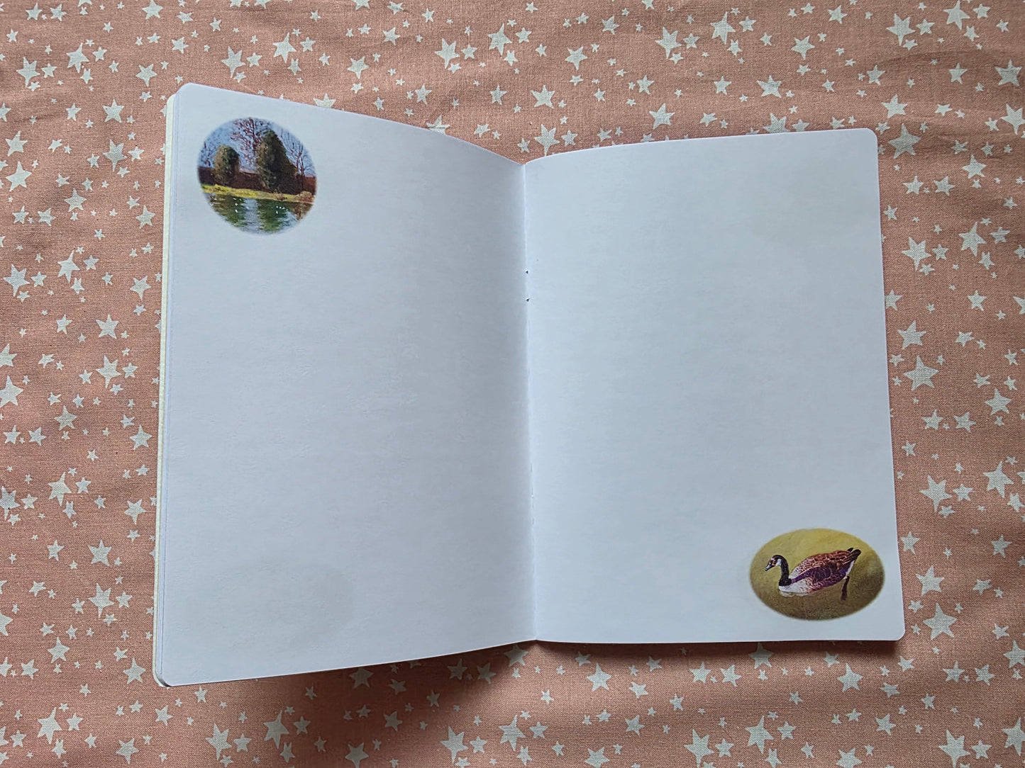 Pond 1 Notebook