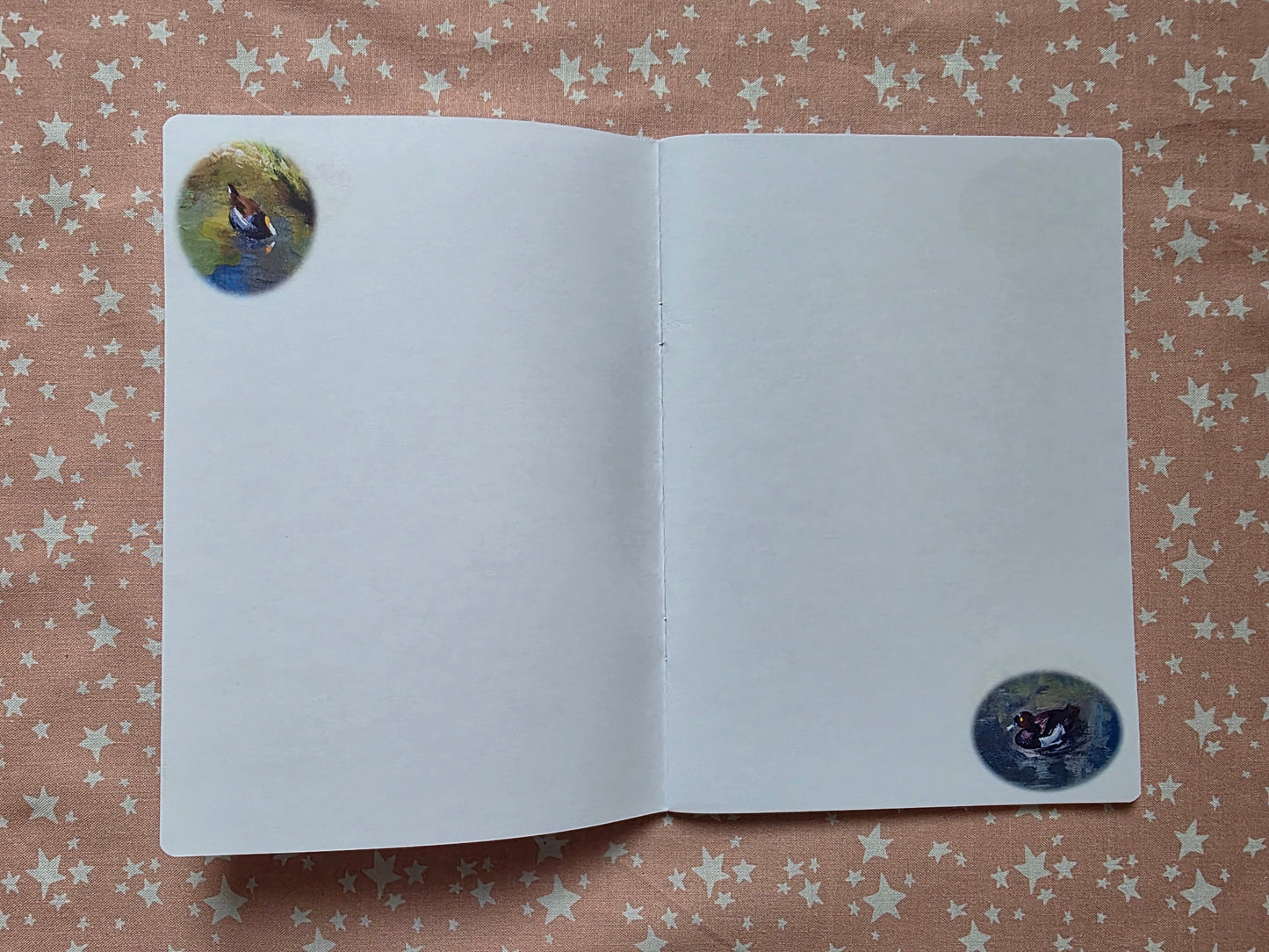 Birds 3 Notebook