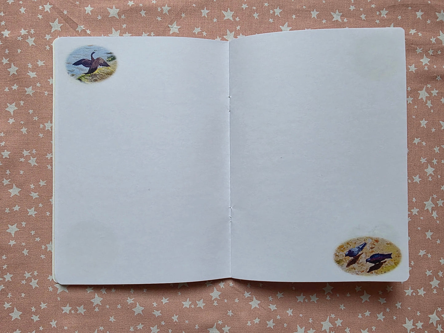 Birds 1 Notebook