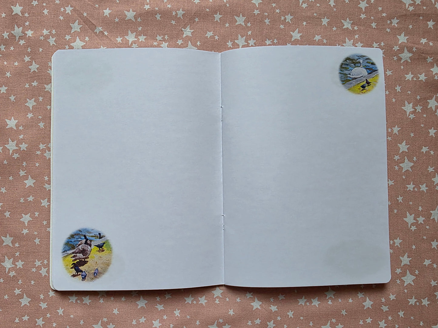 Birds 1 Notebook