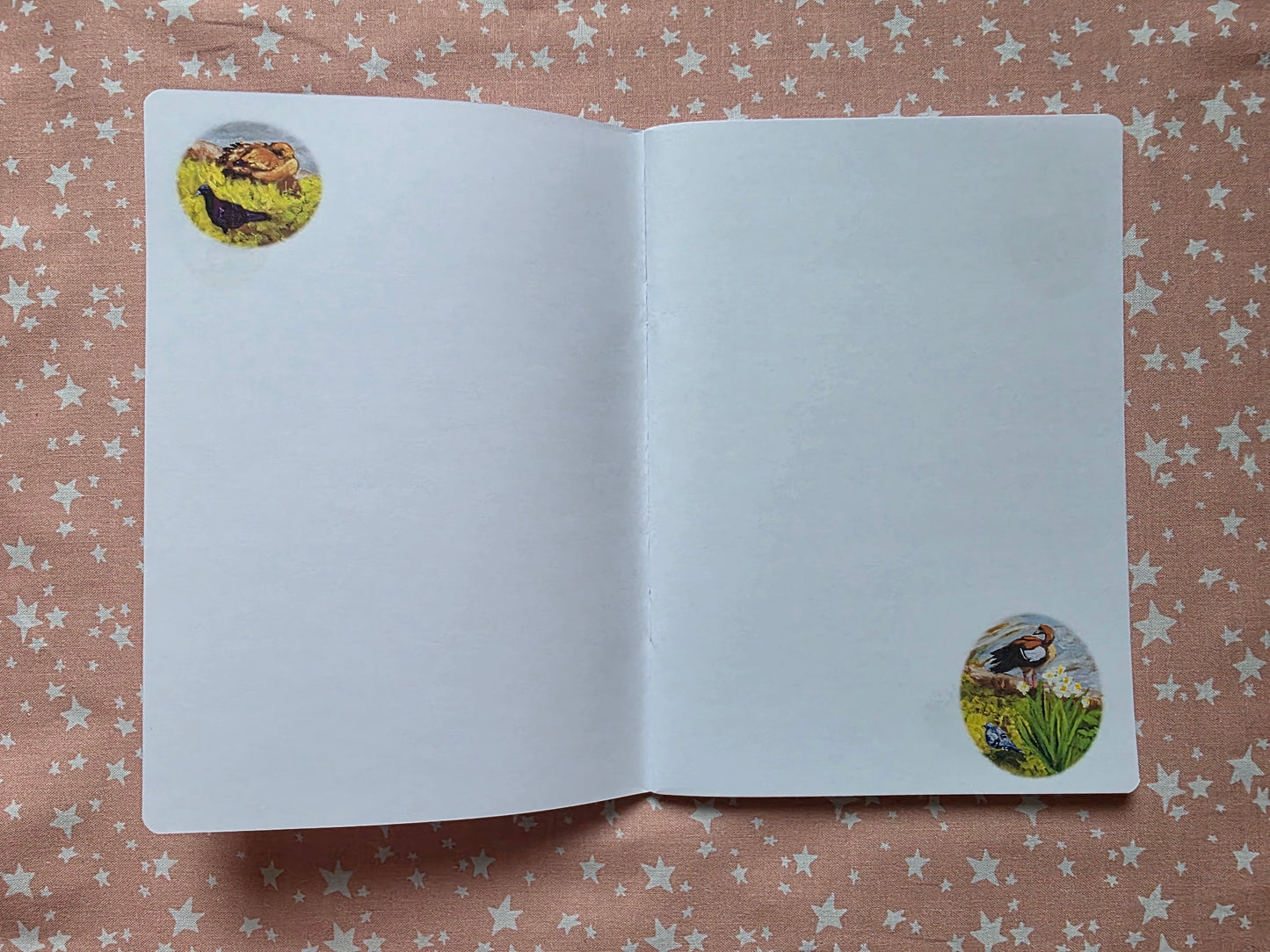 Birds 2 Notebook