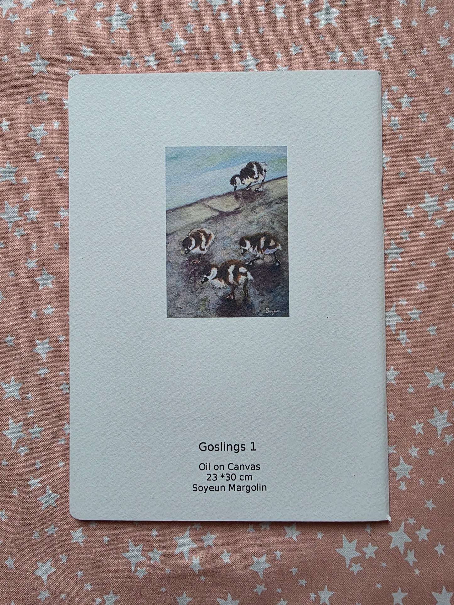 Goslings Notebook