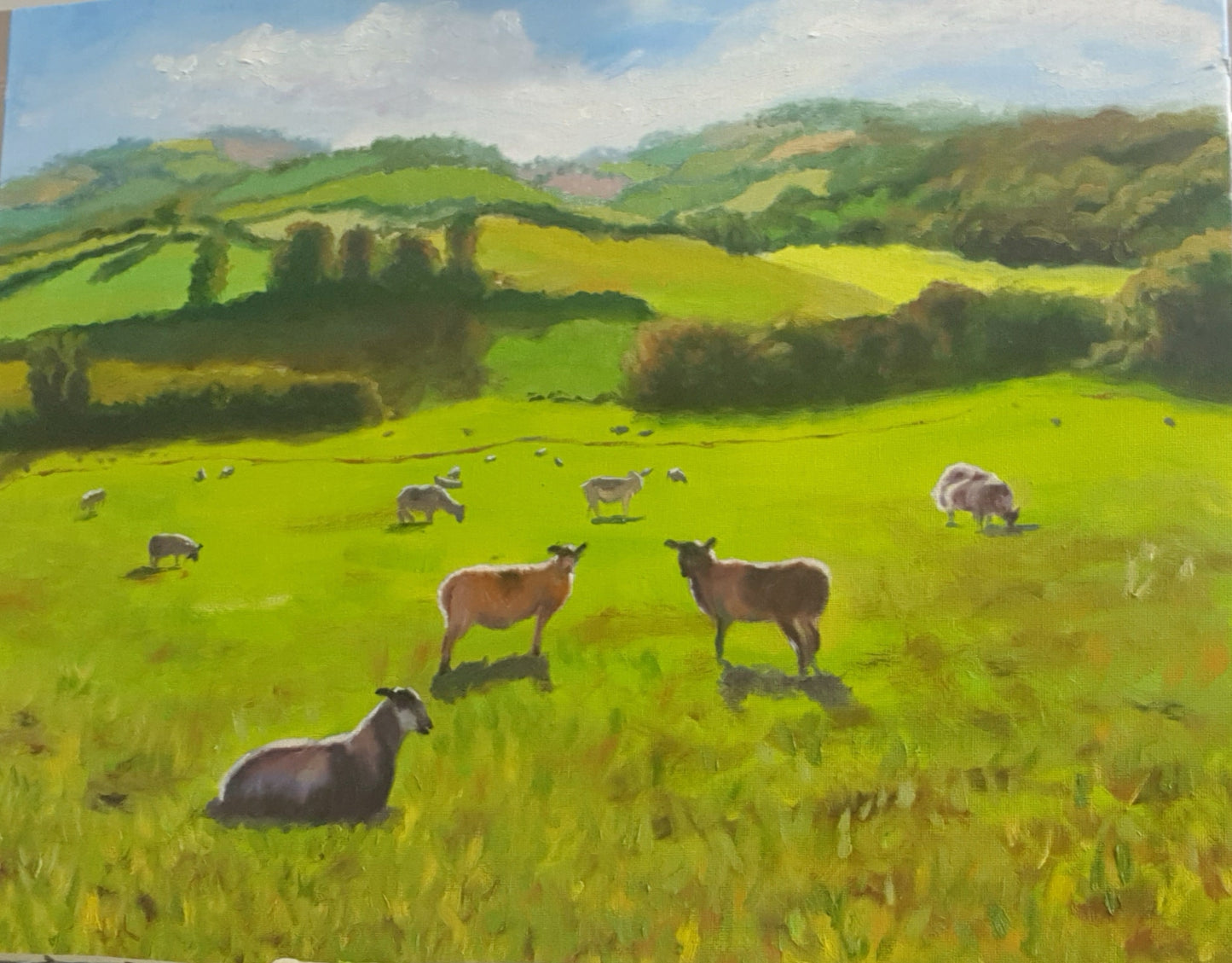 Sheep Family
