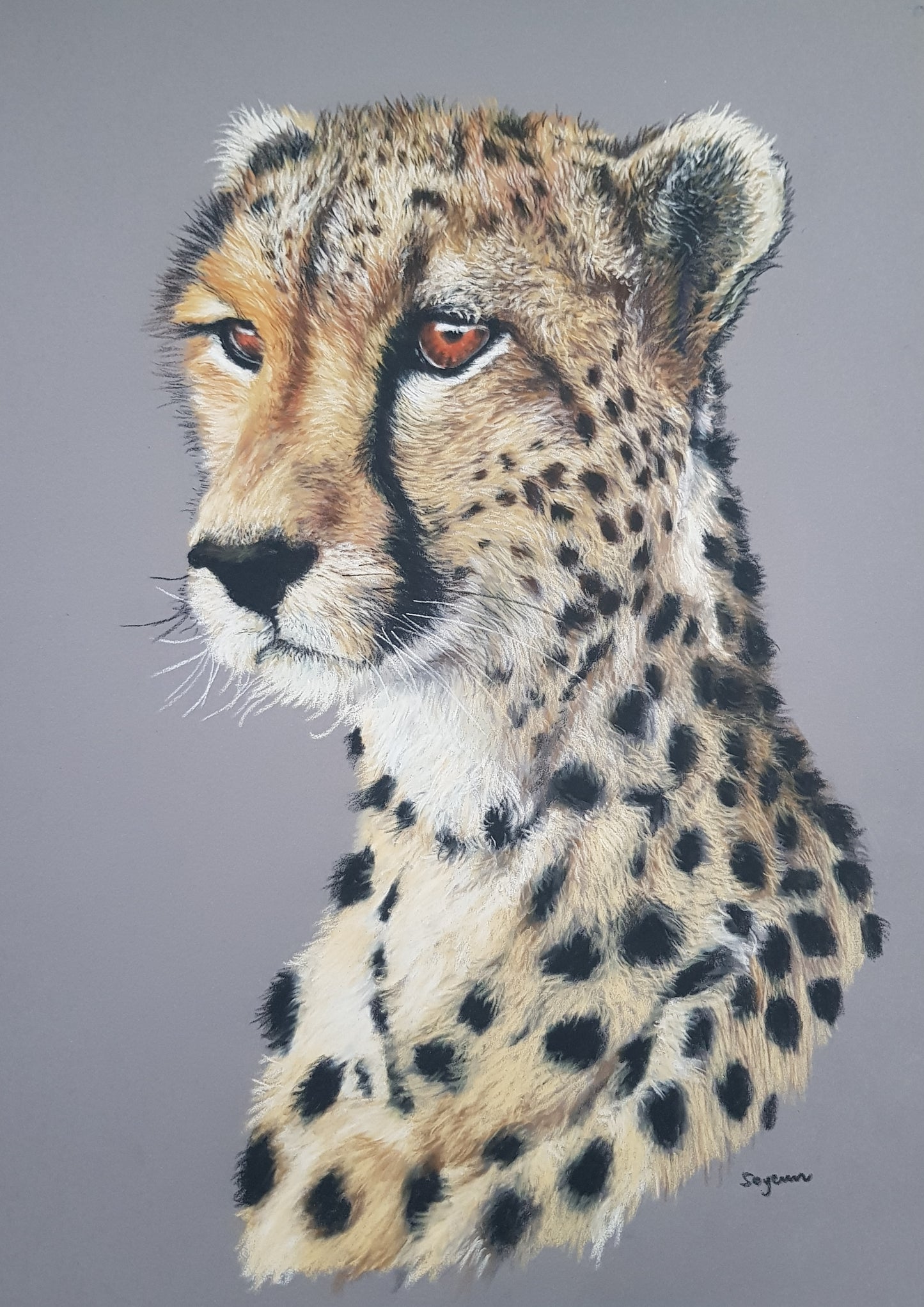 Cheetah Print - Size A4