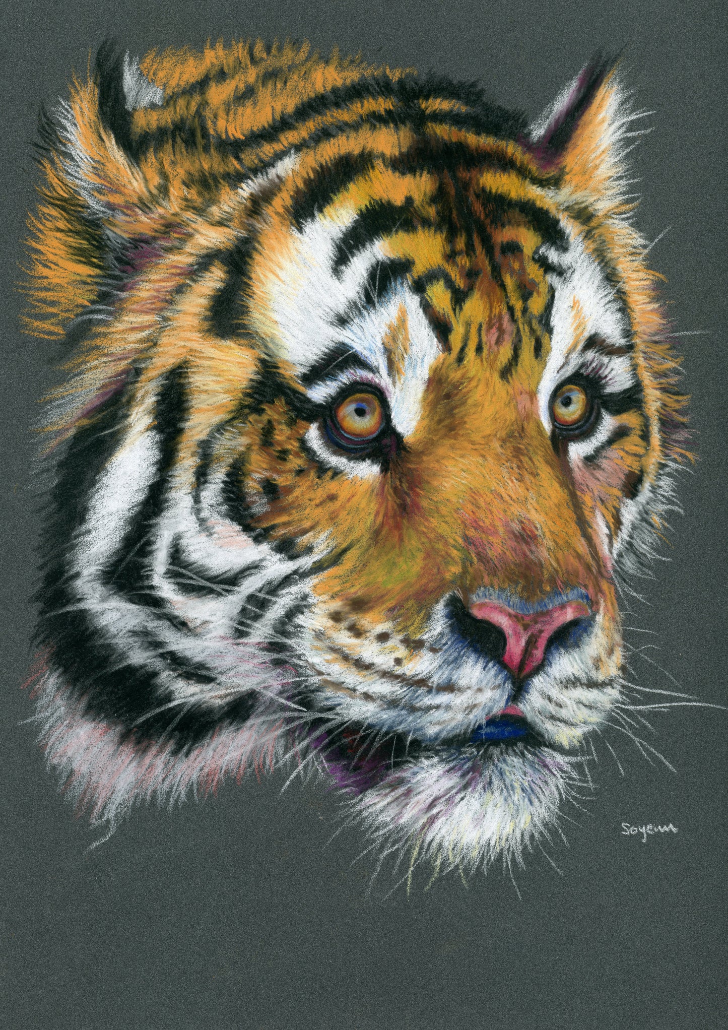 Tiger Face Print