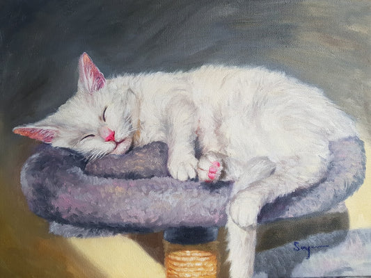 Sleeping Cat