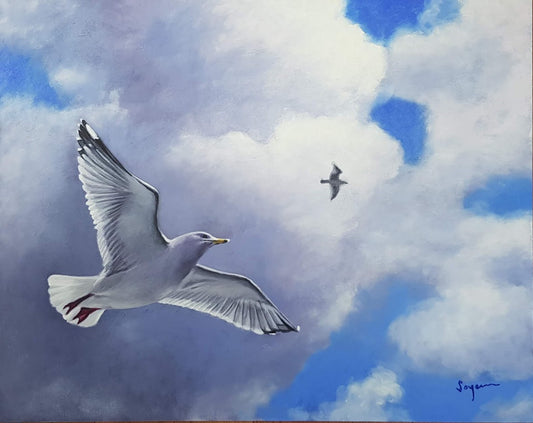 Seagull