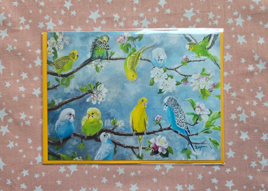 Budgie family