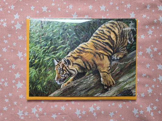 Tiger Jungle