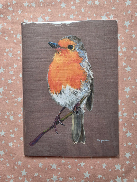 Robin Notebook
