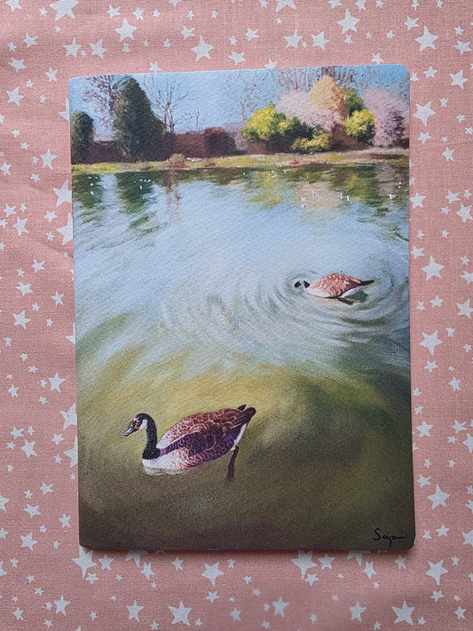Pond 1 Notebook