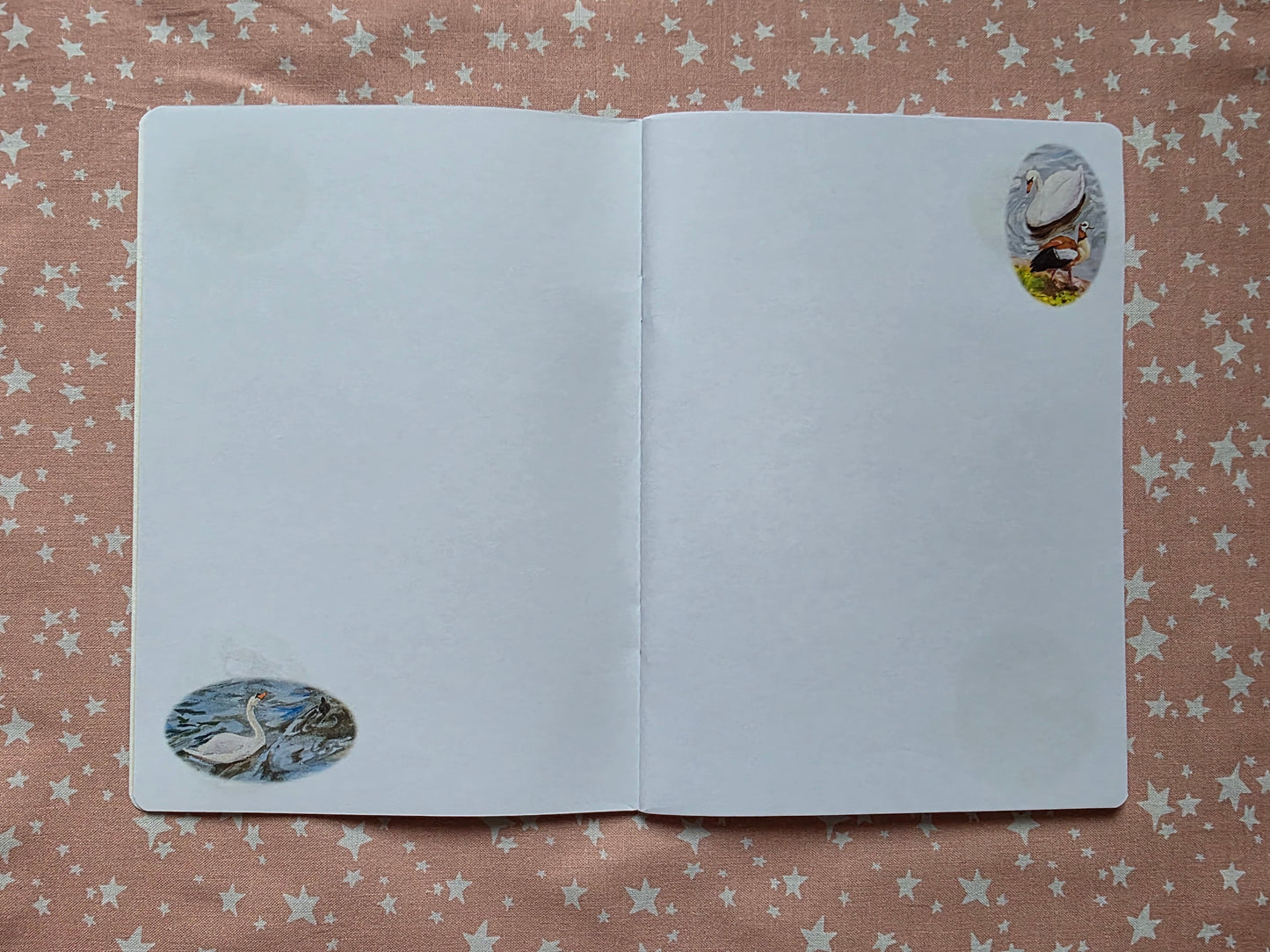Birds 2 Notebook