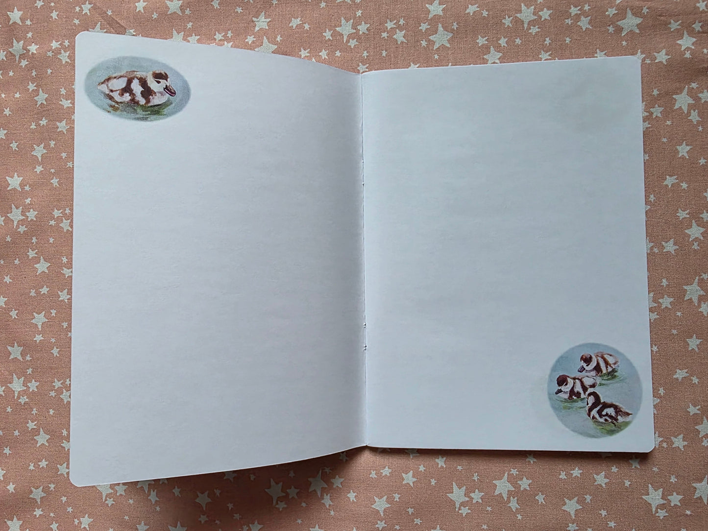 Goslings Notebook