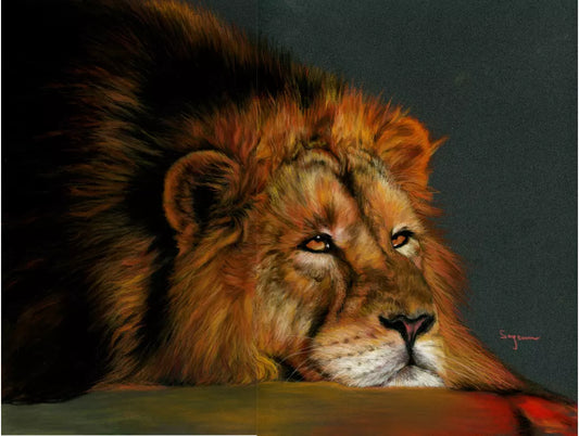 Sunset Lion Print