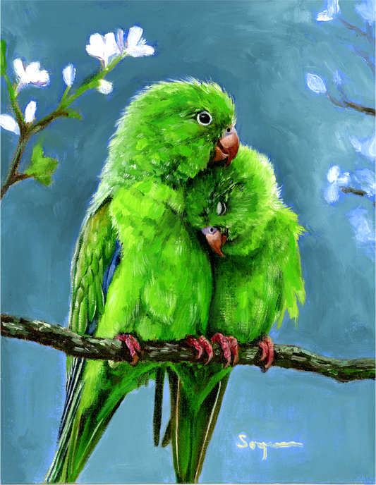Parrots