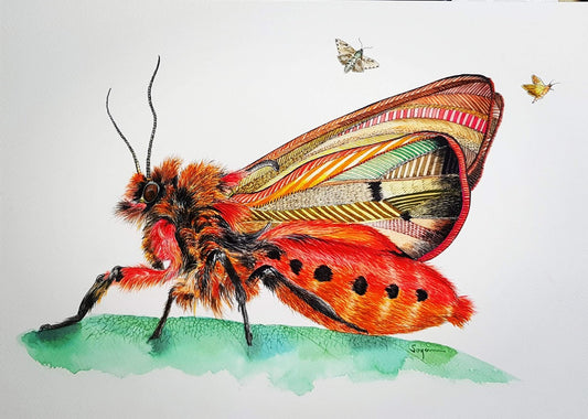 Red Moth