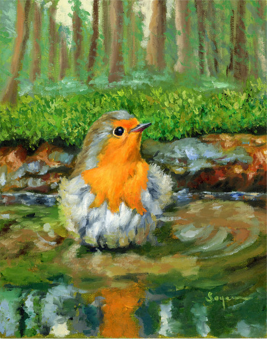 Robin bath