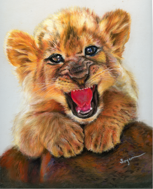Baby lion