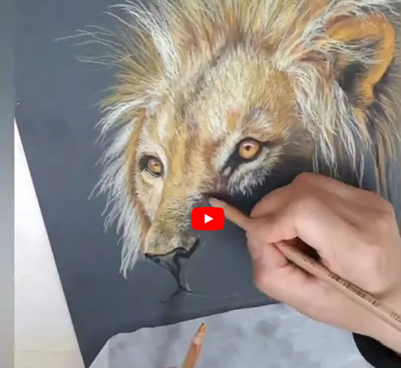 Load video: Lion Drawing
