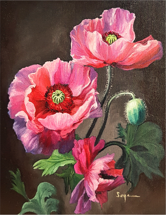 Poppies