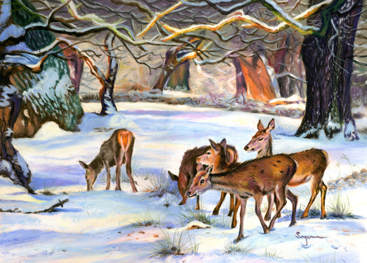 Deers