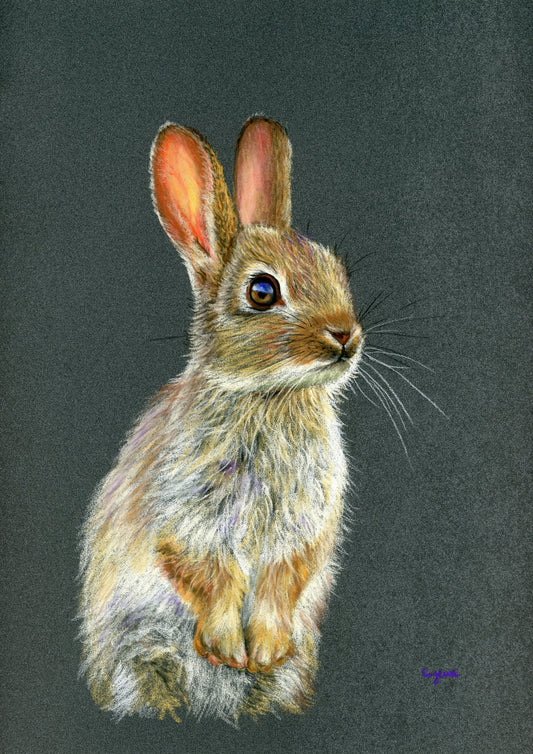 Rabbit Print - Size A3
