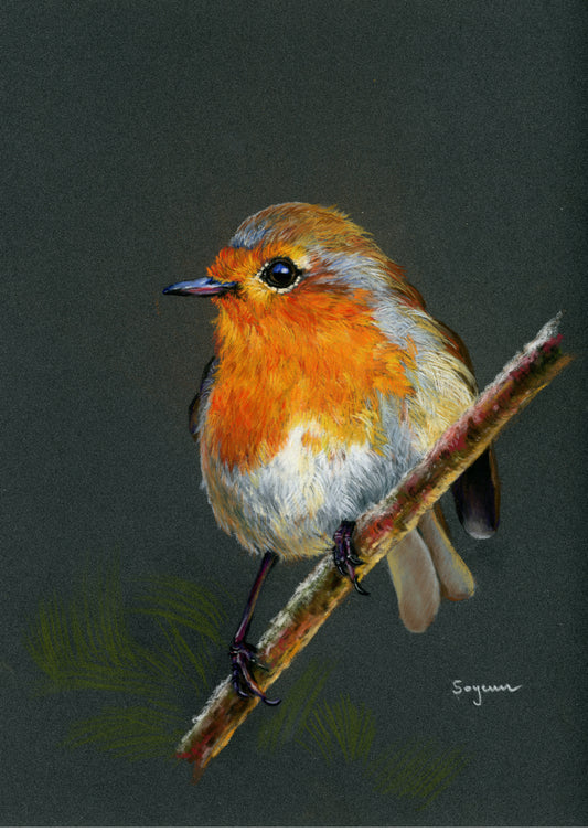 Robin2 Print