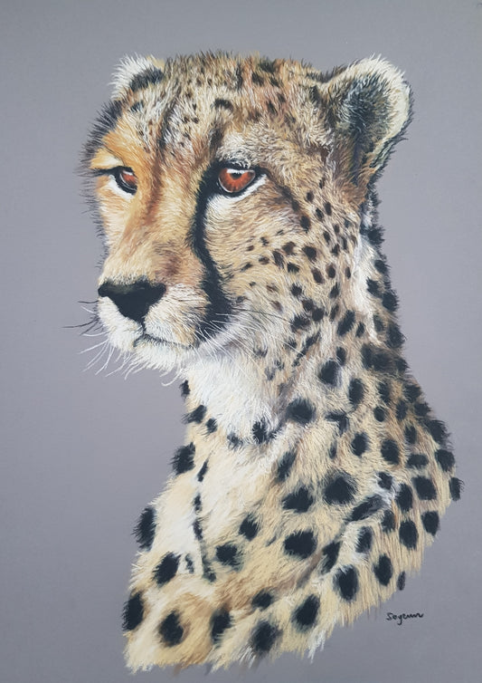 Cheetah Print - Size A4