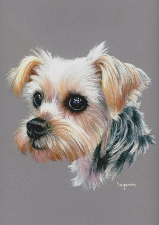 Curious dog Print