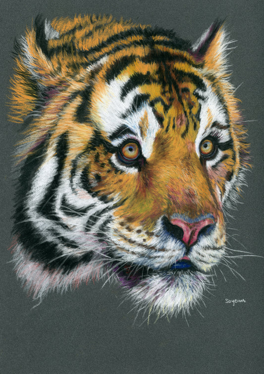 Tiger Face Print